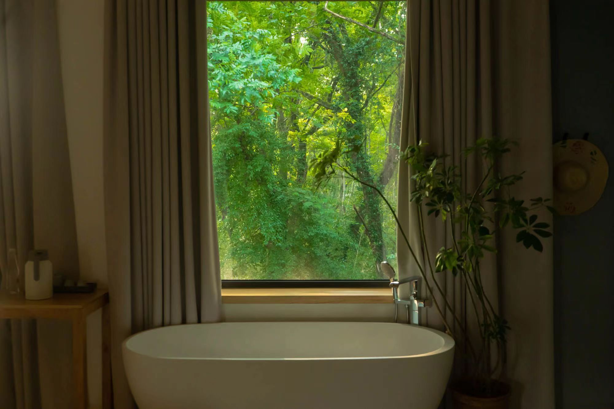 mmexport1675655300690